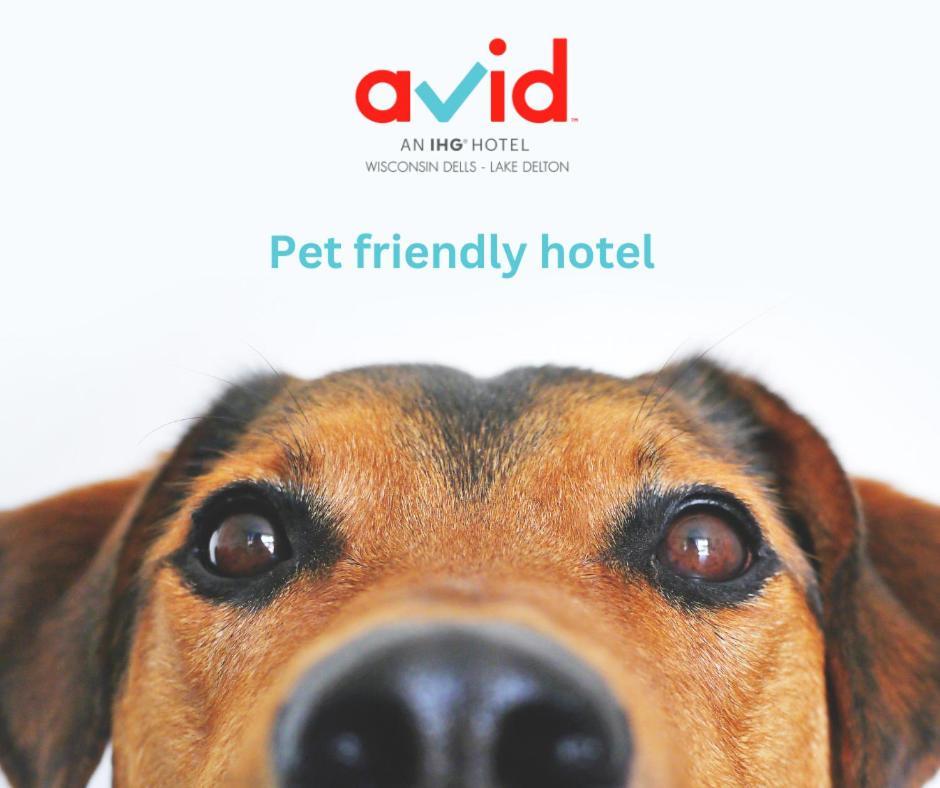 Avid Hotel Wisconsin Dells Lake Delton By Ihg Exterior photo